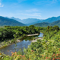 Loài thực vật mới được phát hiện tại Vườn Quốc gia Vũ Quang - Hà Tĩnh