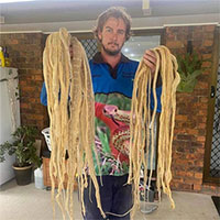 Choáng váng khi phát hiện 50 bộ da rắn trên mái nhà dân