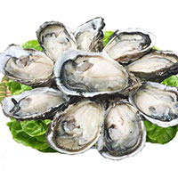 Tại sao chúng ta thích ăn hàu sống? Khi bỏ hàu vào miệng chúng có thực sự còn sống hay không?