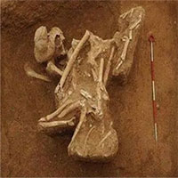 Khám phá lăng mộ con gái Tần Thủy Hoàng: Tư thế qua đời tố cáo tội ác của anh trai