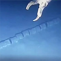 Phát hiện bộ xương dài 30m của sinh vật biển bí ẩn