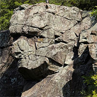 Tại sao một số người nhìn đâu cũng thấy những khuôn mặt kỳ lạ?