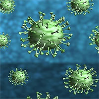 Loại virus corona mới có thể truyền từ chó sang người