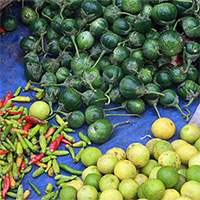 Chế độ ăn kiểu công nghiệp đang 