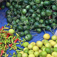 Chế độ ăn kiểu công nghiệp đang "biến đổi" cơ thể con người