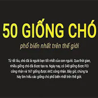 Top 50 giống chó phổ biến nhất thế giới