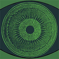 Đột phá: Nhờ cấy gene tảo vào mắt, một người khiếm thị lấy lại được một phần nhỏ thị lực