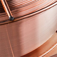 Phát hiện đột phá về vi khuẩn tạo đồng