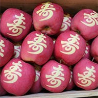 Kỹ thuật dùng ánh sáng mặt trời biến táo thành tác phẩm nghệ thuật của người Nhật