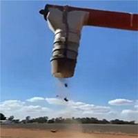 Chuột rơi như mưa từ thùng chứa ngũ cốc