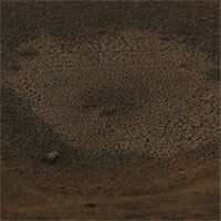 Brazil đối mặt với hạn hán tồi tệ nhất trong 91 năm