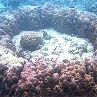 Nghiên cứu phát hiện, có một trận động đất kéo dài tới 32 năm