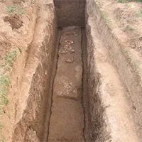 Tìm thấy giống loài "chưa từng được biết đến" trong lăng mộ bà nội Tần Thủy Hoàng