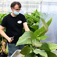 Giới thiệu về trang trại nhân giống côn trùng thiên địch