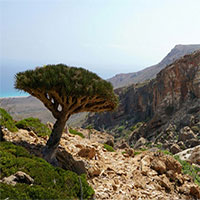 Socotra - 