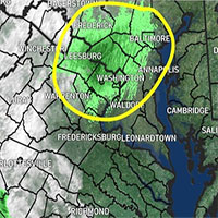 Đàn ve sầu hàng trăm tỷ con xuất hiện trên radar thời tiết tại Mỹ