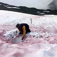 Giải mã hiện tượng 