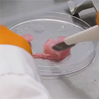 Phát triển thành công loại mực sinh học mới, có thể dùng để in 3D nội tạng cấy ghép trong tương lai