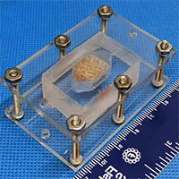 Phát triển thành công in 3D mô gan người trong phòng thí nghiệm