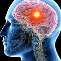 Con người có khả năng tái tạo các bộ phận cơ thể 