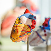 Chế tạo trái tim nhân tạo hoàn chỉnh đầu tiên trên thế giới