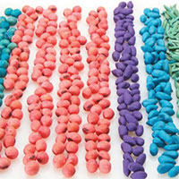 Phương pháp xử lý hạt giống bằng Neonicotinoid - lợi bất cập hại?