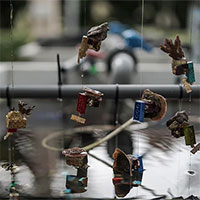 Các nhà khoa học Singapore dùng Lego để phục hồi rạn san hô