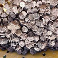 Ngư dân Quảng Bình phát hiện kho tiền xu cổ dưới đáy biển