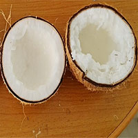 Công cụ giúp đo tỷ lệ dừa sáp bằng âm thanh