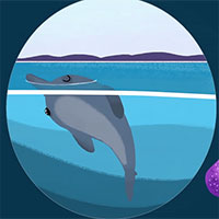 Giấc ngủ không đối xứng là gì? Con người có thể thức và ngủ cùng một lúc không?