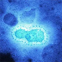 Phát hiện mới về đại dịch do virus corona tấn công 20.000 năm trước