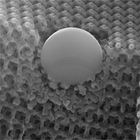 Phát triển loại vật liệu siêu nhẹ có độ bền cao