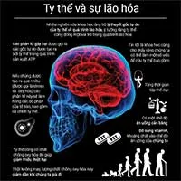 Tìm hiểu ty thể - "nhà máy phát điện" siêu xịn sò của cơ thể
