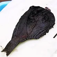 Chuyên gia ngỡ ngàng với món ăn để 2400 năm trong lăng mộ mà vẫn rất "ngon mắt"