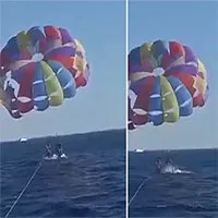 Video: Cá mập nhảy lên khỏi mặt nước tấn công người chơi dù lượn ở biển Đỏ