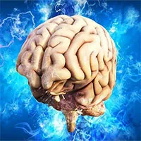 Tìm thấy "tế bào thời gian" trong não người