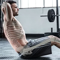 Biến đổi gene kỳ lạ khiến nhiễm sắc thể gây loãng xương giúp xương cứng chắc khác thường