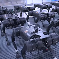 Video: Binh đoàn robot 
