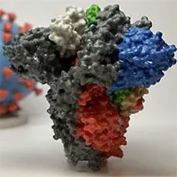 Các nhà khoa học nghiên cứu dùng virus nCoV giả để tiêu diệt virus thật