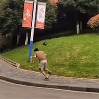 Kỳ lạ con chim “điên” chuyên tấn công nam sinh, không hề động đến nữ sinh