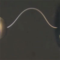 Các chuyên gia chế tạo thành công loại băng có thể uốn cong