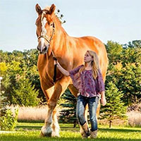 Chú ngựa cao nhất thế giới chết ở tuổi 20