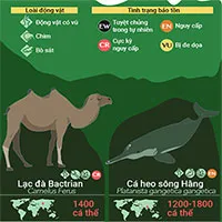32 loài động vật sắp tuyệt chủng, 9 trong số đó chỉ còn dưới 100 cá thể