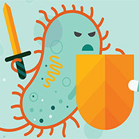 Hệ miễn dịch: Cơ chế kỳ diệu của cơ thể - đội quân thầm lặng giúp chúng ta sống sót