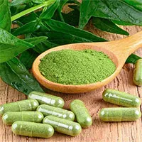 Xuyên tâm liên – Vị thuốc tiềm năng trong phòng chống Covid-19