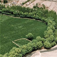 Trung Quốc và tham vọng biến sa mạc thành đất canh tác