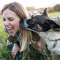 Tại sao chó lại thích liếm chủ?