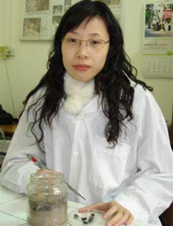 Cô SV Hà Nội và cú hattrick