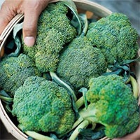 Top 11 thực phẩm tăng cường miễn dịch, phòng chống Covid-19 hiệu quả