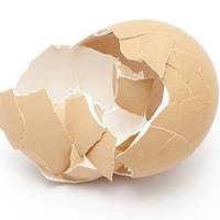 Nhà khoa học tạo vật liệu làm xương nhân tạo từ vỏ trứng